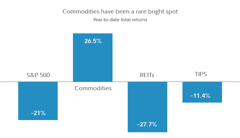 Should You Own Commodities Commodities Inflation Hedge Fidelity 4670